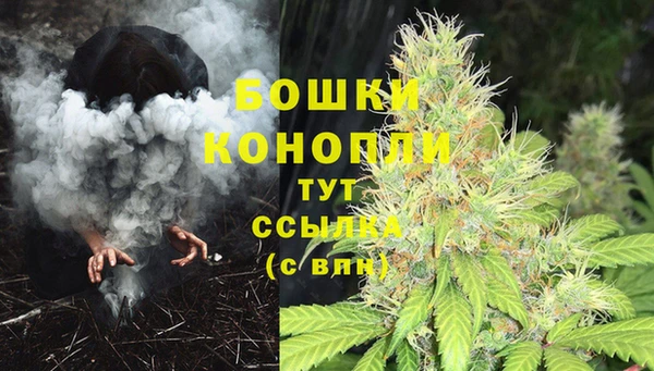 прущий лед Рославль