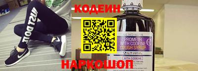 индика Кингисепп
