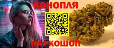 индика Кингисепп
