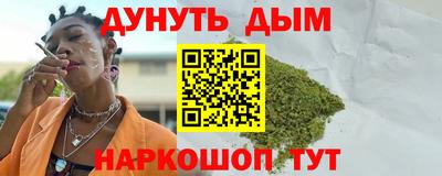 индика Кингисепп
