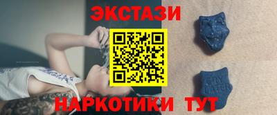 индика Кингисепп