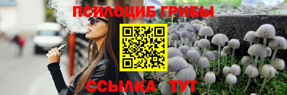 Клинцы  Псилоцибиновые грибы мухоморы  Вход с VPN 