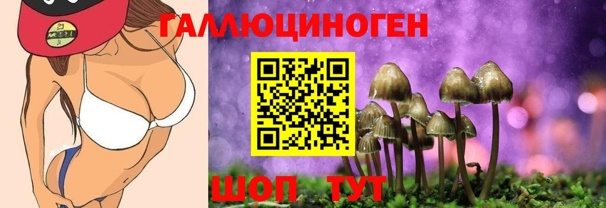 Псилоцибиновые грибы мухоморы Клинцы